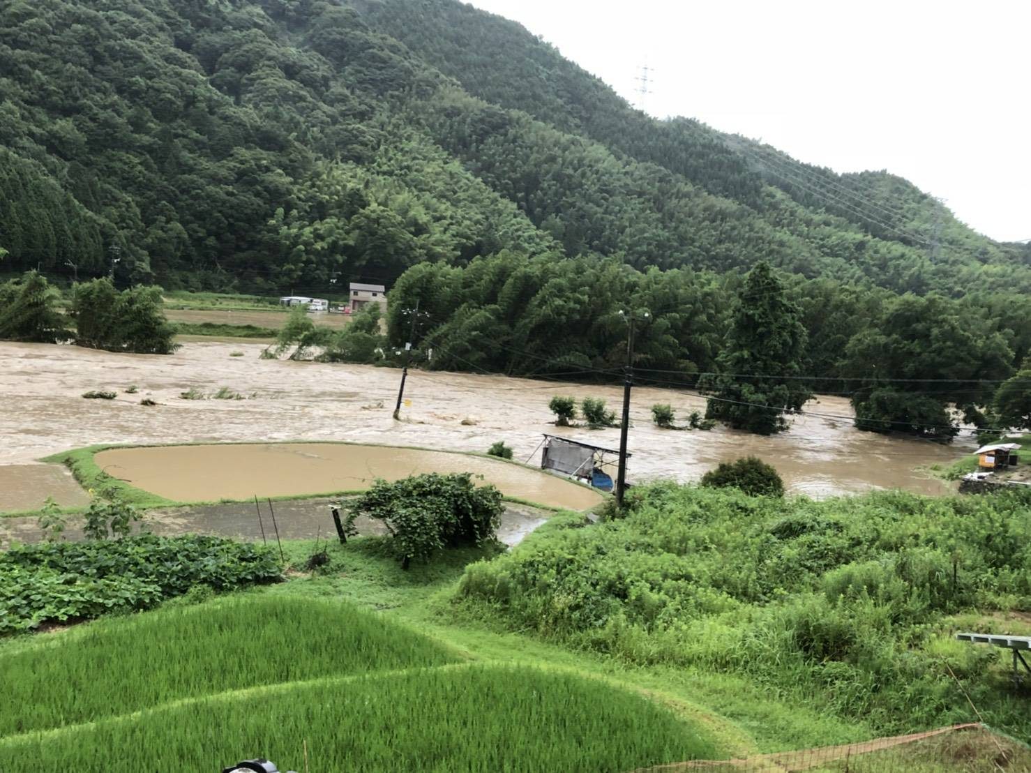 山あいの田んぼを濁流が覆い、電柱が水の中に立つ様子