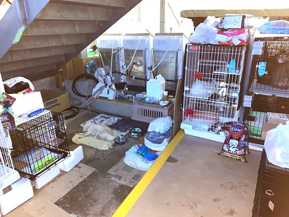 建物の階段下にケージやキャリー、フードを置いてペットを飼養している様子