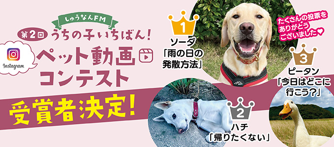 第2回うちの子いちばん！ペット動画コンテスト結果発表